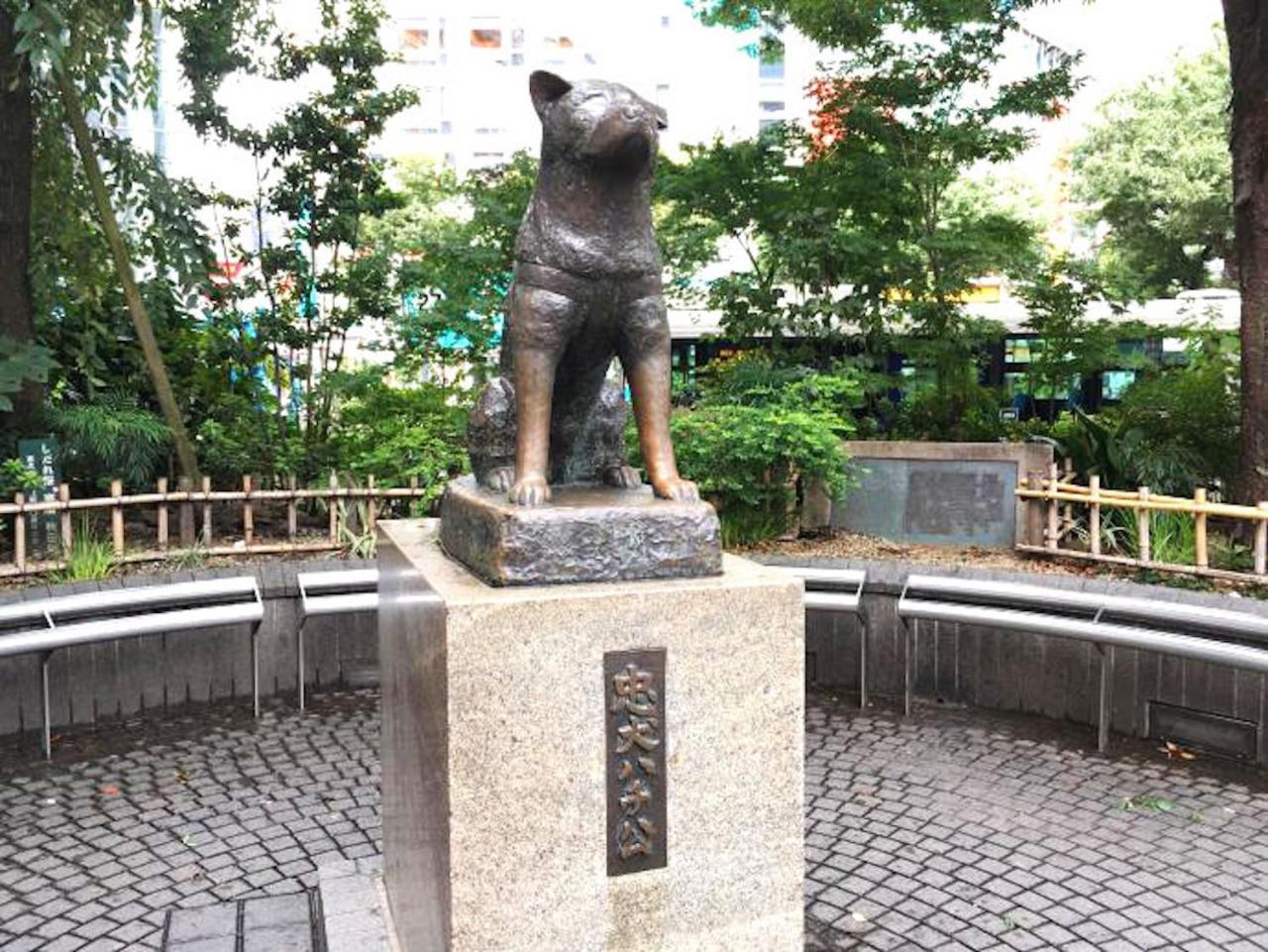 Shibuya Anon #a101 Apartmán Prefektura Tokio